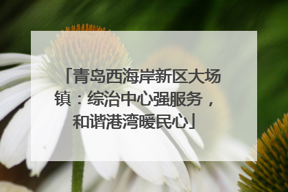 青岛西海岸新区大场镇：综治中心强服务，和谐港湾暖民心